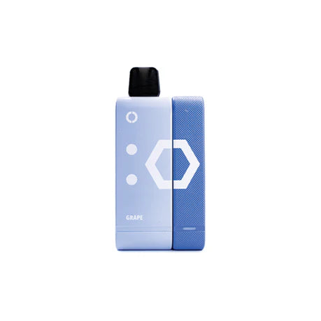 (VL) ELFBAR 9000 KIT