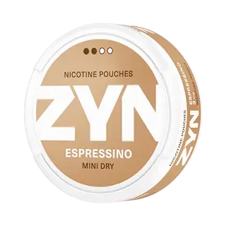 ZYN NICOTINE POUCH