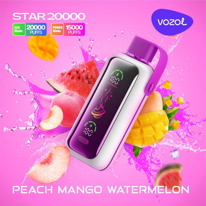 VOZOL STAR 20000 PUFFS DISPOSABLE VAPE