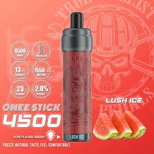 KANG VAPE 4500