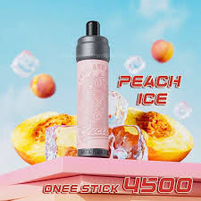 KANG VAPE 4500